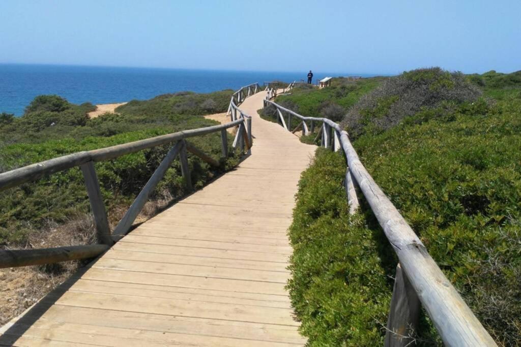Conil Paraiso Кониль-де-ла-Фронтера Экстерьер фото